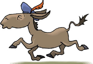 حمار صاحب اسبقيات يهاجم صاحبه ويعضه في مادبا