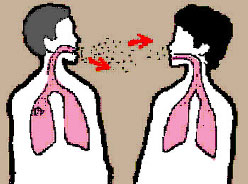 عدد الحالات 363.. وزارة الصحة: وفاة ثلاثة أردنيين بالسل العام الماضي