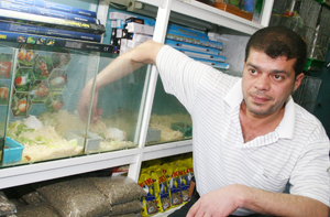 سعر الفأر في محلات عمان بخمسة دنانير!!