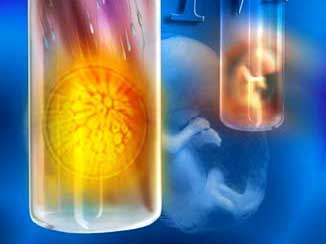 دائرة الإفتاء: تحريم استعانة الزوجة برحم أخرى للإنجاب