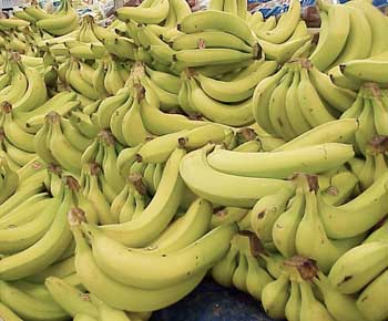 وزارة الزراعة تهتم بالمستوردين وتضرب بطلبات المزارعين عرض الحائط