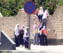 اربد الثانية تسجل أعلى نسبة تراجع في التسرب المدرسي