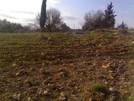 فضائح في شركة "بندار للتجارة والاستثمار"