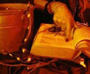 إدارة البحث الجنائي تلقي القبض على مشعوذة