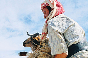 أسعار اللحوم الحمراء البلدية .... أين الرقابة?