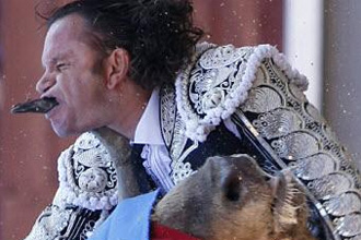 ثور سدد لمصارعه "نطحة القرن" فنفذ من عنقه إلى فمه