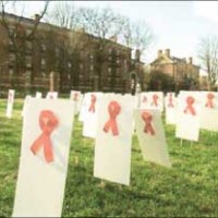 «الإيدز» يقتل 90 أردنيا و6 إصابات جديدة واحدة منهم أنثى