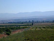 تحويل موظف بـ"وادي الأردن" إلى القضاء بعد منحه متنفذ أرضا دون وجه حق