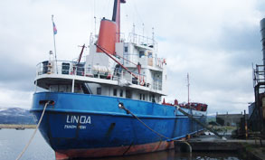 وصول ناشطي ريتشل كوري المرحلين من إسرائيل إلى الأردن