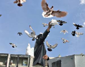 رئيس حكومة "كشاش حمام"