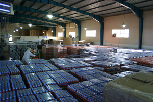 العمل تسجل 308 مخالفات على المصانع الغذائية في 5 أشهر