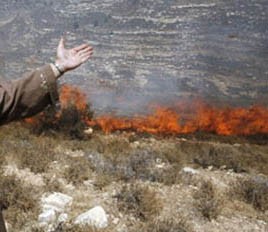 حريق إسرائيلي كبير يمتدّ إلى الأراضي الأردنية والمتضررون يطالبون بتعويض