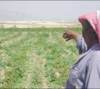 رغم تكرار سيناريو الحرائق..لاتعويضات للمتضررين ولا اجراءات قانونية ضد إسرائيل