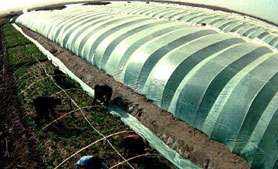 مستثمرون أردنيون يعتزمون نقل استثماراتهم الزراعية إلى «إسرائيل»