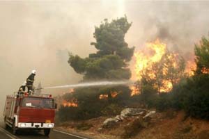 حريق يلتهم مئات أشجار البلوط المعمرة في بيرين