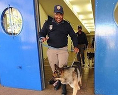 "باب النجار مخلع"..سرقة منزل رئيس مكافحة الجريمة بالمونديال