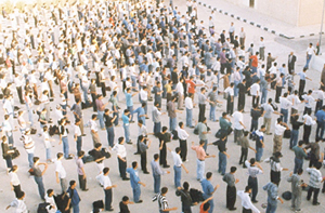 اسماء 705 معلمين ومعلمات للتعيين في التربية