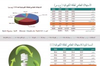 الحكومة تتجه لتخفيف قوة الإنارة في بعض شوارع عمان