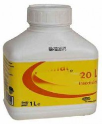 انتحار شقيقتين اثر تناولهما مادة سامة بالمفرق بعد خلافات مع والدهما