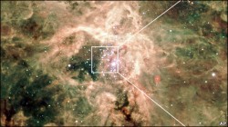 اكتشاف نجم جديد أكبر من الشمس بـ 265 مرة