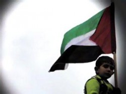 حقوقيون : تجنيس أبناء المصريات لأب فلسطيني علي كف عفريت