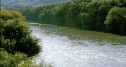 "أصدقاء الأرض": نهر الأردن ملوث و«العمادة» في مياهه خطر