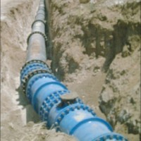 «جاما التركية» تدفع 60 ألف دينار بدل إزالة آلاف الأشجار الحرجية