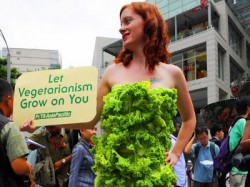 سيدة عارية إلا من أوراق"الخس" تطوف شارع الرينبو اليوم