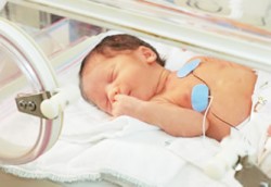 "أطفال الخداج" .. لا يجدون ملاذا يحميهم