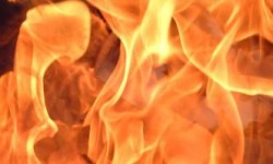 شبهة جنائية وراء وفاتها.. العثور على جثة سيدة متفحمة في الرصيفة