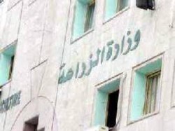 الزراعة تنفي منعها تصدير ثمار الزيتون