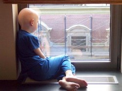 السرحان: تزايد حالات السرطان في الاردن سنويا بنسبة 5%