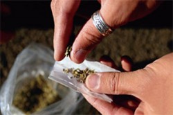 حملة أمنية ضخمة لمكافحة المخدرات في المملكة قريبا