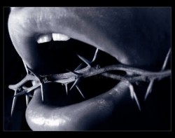 الرئيس يستغيث ضد المواقع الالكترونية