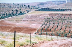 المشاريع الزراعية الكبرى .... خطوة للامام وخطوتان للخلف