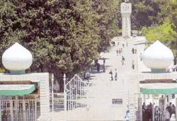 550 طالباً وطالبة يتنافسون على مقاعد المكرمة الملكية للمخيمات