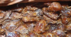 ضبط 15 طنا من التمور الفاسدة داخل شقة سكنية بالزرقاء