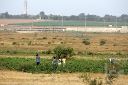 76 مليون دولار خسائر بقطاعي الزراعة الحدودية والصيد بغزة سنويا