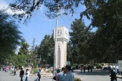 أسماء طلبة أدخلوا طلبات التحاقهم بالجامعات بصورة غير صحيحة