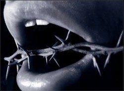 لجنة المواقع الالكترونية تتوسع وتعلن مجموعة مواقف