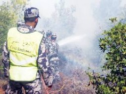 حريق يلتهم عشرات الاشجار المثمرة والحرجية في "الحدادة"