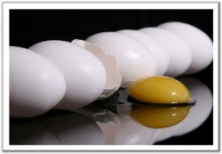 73.9 مليون بيضة في الاردن