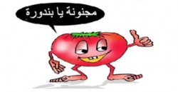 "حماية المستهلك": "البندورة" بأسعار مجنونة وأصناف غير صالحة للاستهلاك