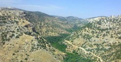 الإسلاميون: موافقة أمريكا على إبقاء الأغوار تحت السيطرة الإسرائيلية تهديد للأردن