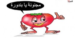 هل تصمد حكومة الرفاعي أمام أزمة "البندورة" ؟