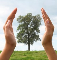 إغلاق ومخالفة وإنذار 4485 منشأة خلال الشهر الماضي