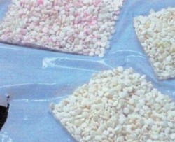 ضبط 1.1 مليون حبة كبتاجون و450 كيلوغراما مخدرات