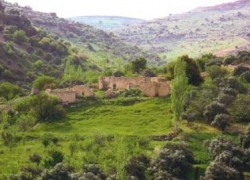 تجميد العمل بنظام المخالفات المائية على مزارعي وادي الأردن