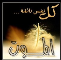 وفاة المذيعة الأردنية عفاف قضماني في حادث دهس