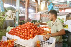 استيراد البندورة السورية يخفض أسعارها محليا إلى 35 قرشا